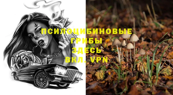 spice Алзамай