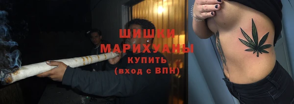spice Алзамай