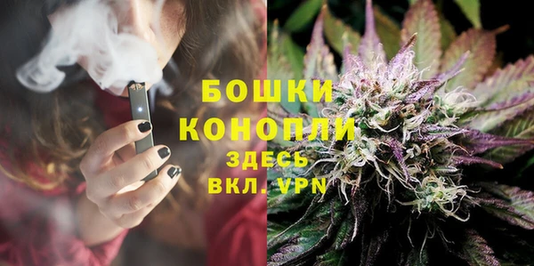 spice Алзамай